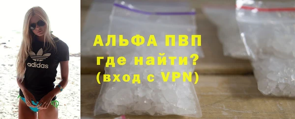 стаф Арсеньев