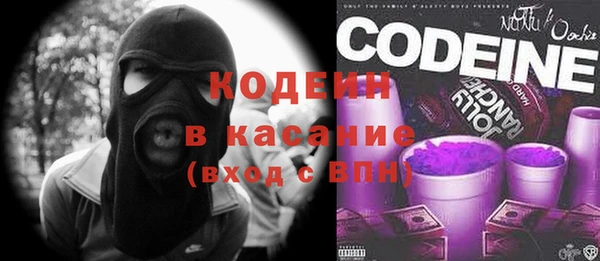 стаф Арсеньев